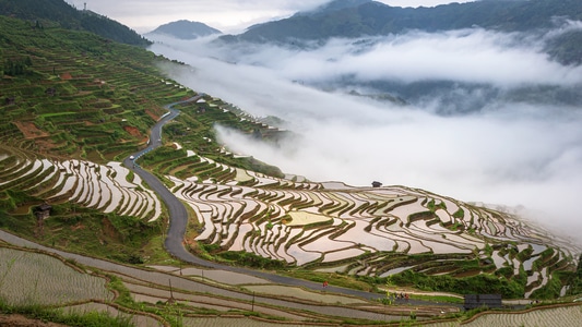 贵州加榜-云雾-梯田-风景-风光 图片素材