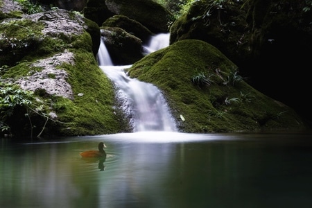 春水-水流-风景-溪流-山间小溪 图片素材