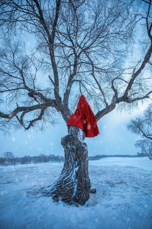 疫情防控中的新年-你好2020-艺术风光-雪景-风景 图片素材