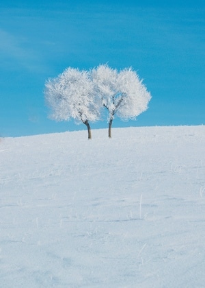 我要上封面-艺术风光-风景-最美一瞬间-雪景 图片素材