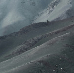 原创-摄影-草原-艺术风光-在路上 图片素材