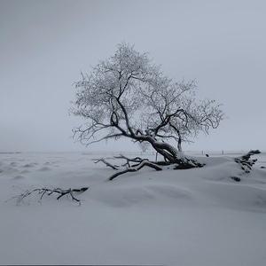 艺术风光-风景-画意-我的2019-雪景 图片素材