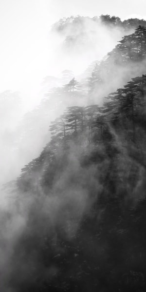 自然-艺术-写意-摄影-山 图片素材