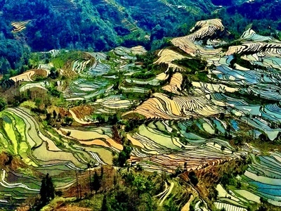 夕阳无限-五彩缤纷-梯田-农田-田地 图片素材