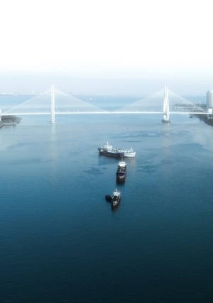 航拍-风光-建筑-海口-世纪大桥 图片素材