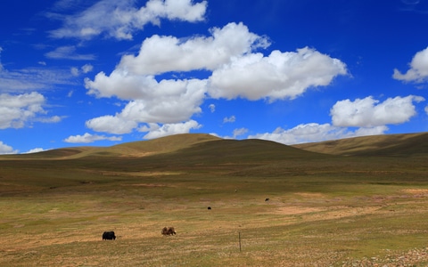 西藏-青藏线-旅行-可可西里-风景 图片素材