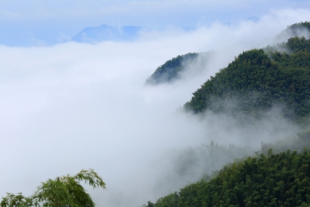 风光-自然-生态-四川-蜀南竹海 图片素材
