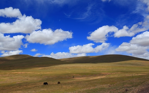 西藏-青藏线-旅行-可可西里-风景 图片素材
