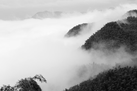 风光-自然-生态-四川-蜀南竹海 图片素材