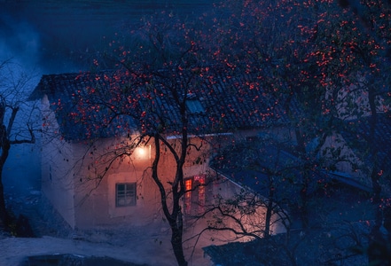 乡村-建筑-房屋-老宅-瓦房 图片素材