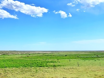 阿勒泰地区-旅拍-风景-草地-草原 图片素材