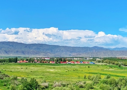 阿勒泰地区-旅拍-风景-草地-草原 图片素材