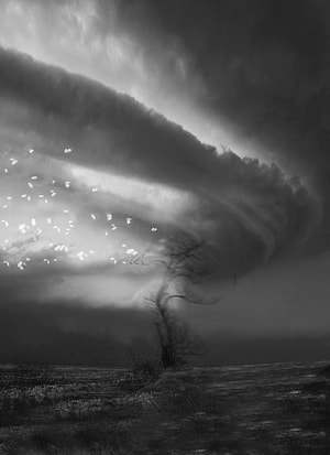 飓风-创意-飓风-风-风景 图片素材