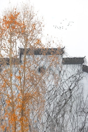 徽州-秋天-极简-风光-旅行 图片素材