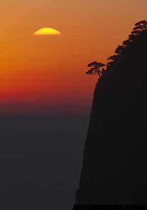 黄山日落-松树-一棵树-夕阳-日落 图片素材