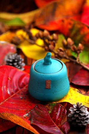 色彩-茶具-秋天-家居物品-茶罐 图片素材