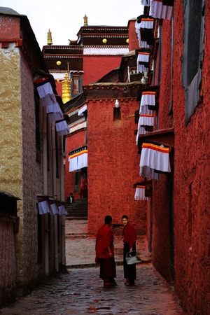 旅行-寺院-西藏-喇嘛-民俗 图片素材