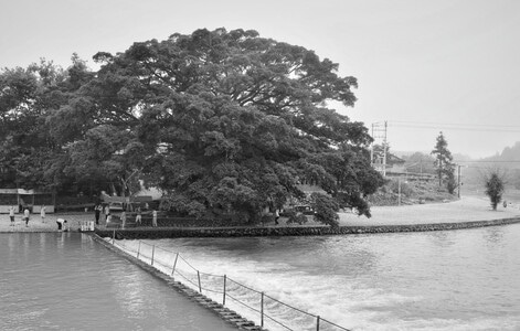 原创-风光-山水-福建南靖-云水谣 图片素材