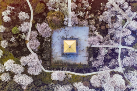 对称美-建筑-凉亭-亭子-风景 图片素材