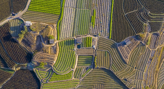 春天-农村-田野-调色板-风景 图片素材