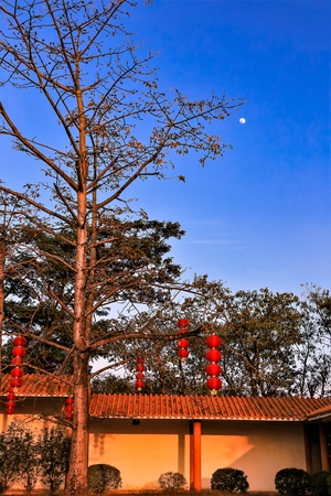 风景-旅拍-光影-远方-旅行 图片素材
