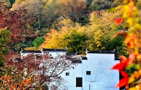 风景-建筑-光影-色彩-你好2020 图片素材