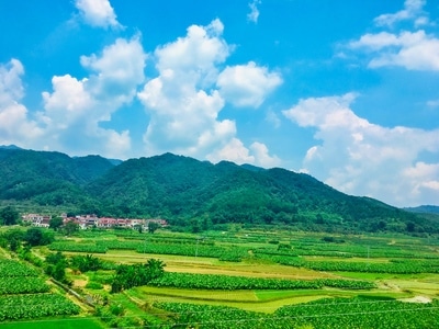 风光-色彩-风景-光影-你好2020 图片素材