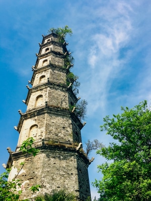 手机摄影-春天-色彩-光影-风景 图片素材