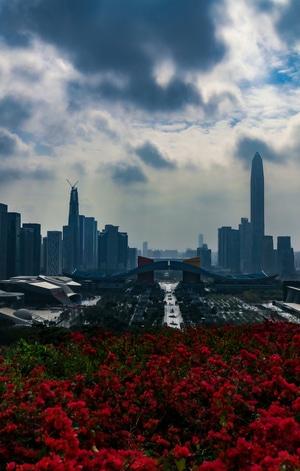摩天大楼-城市-行摄-色彩-光影 图片素材