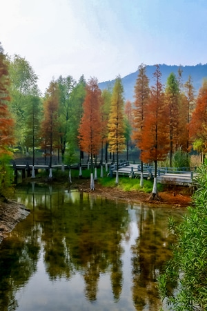 你好2020-旅行-秋天-风景-风光 图片素材