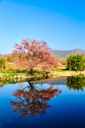 色彩-光影-风光-旅行-你好2020 图片素材