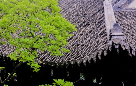 夏天-我的六月-光影-色彩-行摄 图片素材
