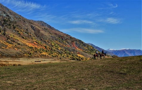 旅行-秋色-阿勒泰-山景-山 图片素材