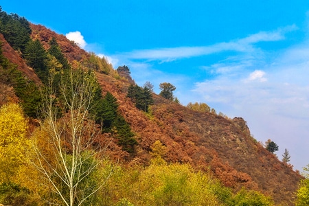 旅行-风景-光影-色彩-你好2020 图片素材