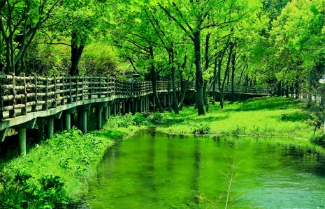 你好2020-色彩-风景-旅行-春天 图片素材