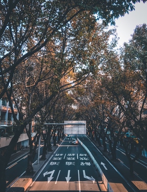 城市-建築-道路-城市-道路 图片素材