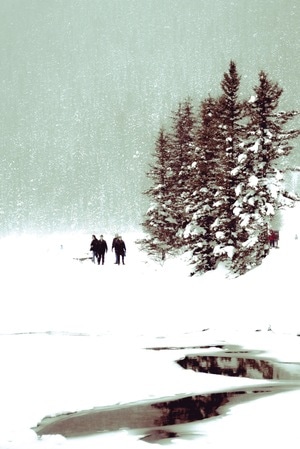 冬-北美-加拿大-雪-湖 图片素材