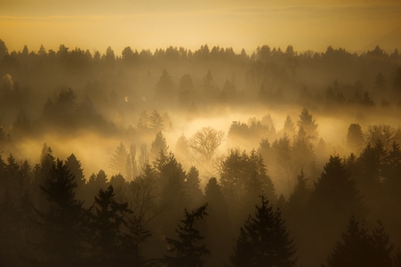 雾-夕阳-尘世烟火-风景-雾 图片素材