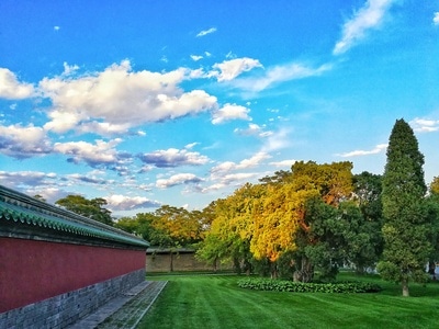 唯美-城市-天坛公园-自然-风景 图片素材