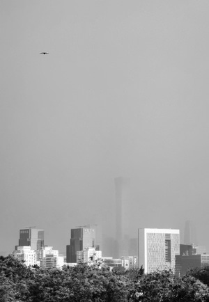 北京市-户外-手机-城市-建筑 图片素材