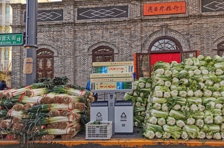 手机-街头-白菜-大葱-蔬菜 图片素材