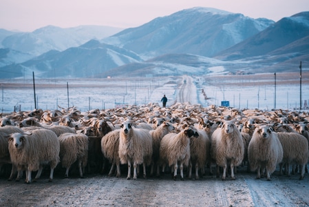 你好2020-公路-旅游-雪山-风光 图片素材