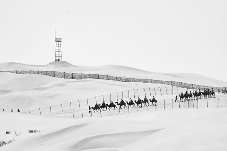 xpro1-富士-旅行-黑白-雪 图片素材