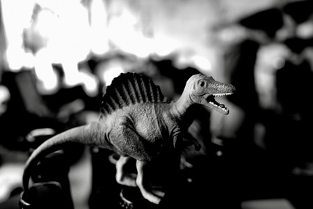 生活-黑白-gr3-玩具-恐龙 图片素材