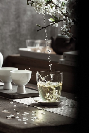 宅家-静物-我要上封面-杯子-花茶 图片素材
