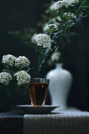 春分-宅家美食-美食-静物-宅家 图片素材