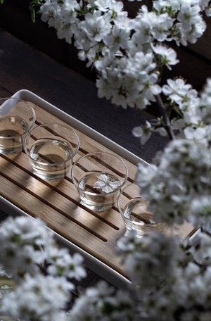 我要上封面-静物-杯子-水杯-玻璃杯 图片素材