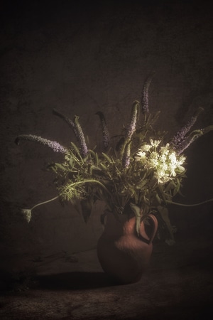 我要上封面-静物-宅家-小而美-植物 图片素材