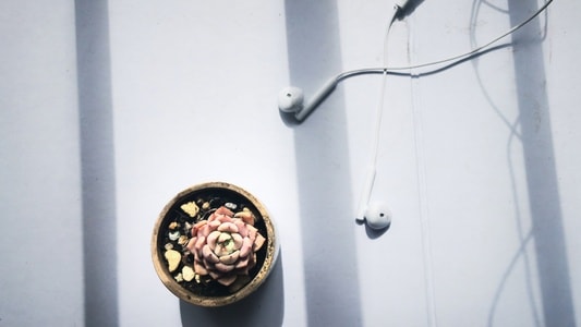 小品-静物-耳机-宅家-植物 图片素材