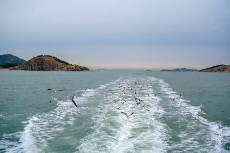 长岛、旅拍、大海情-万鸟岛、-海神15号、-自然-风光 图片素材